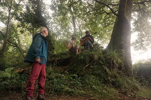 Promenons-nous dans les bois image